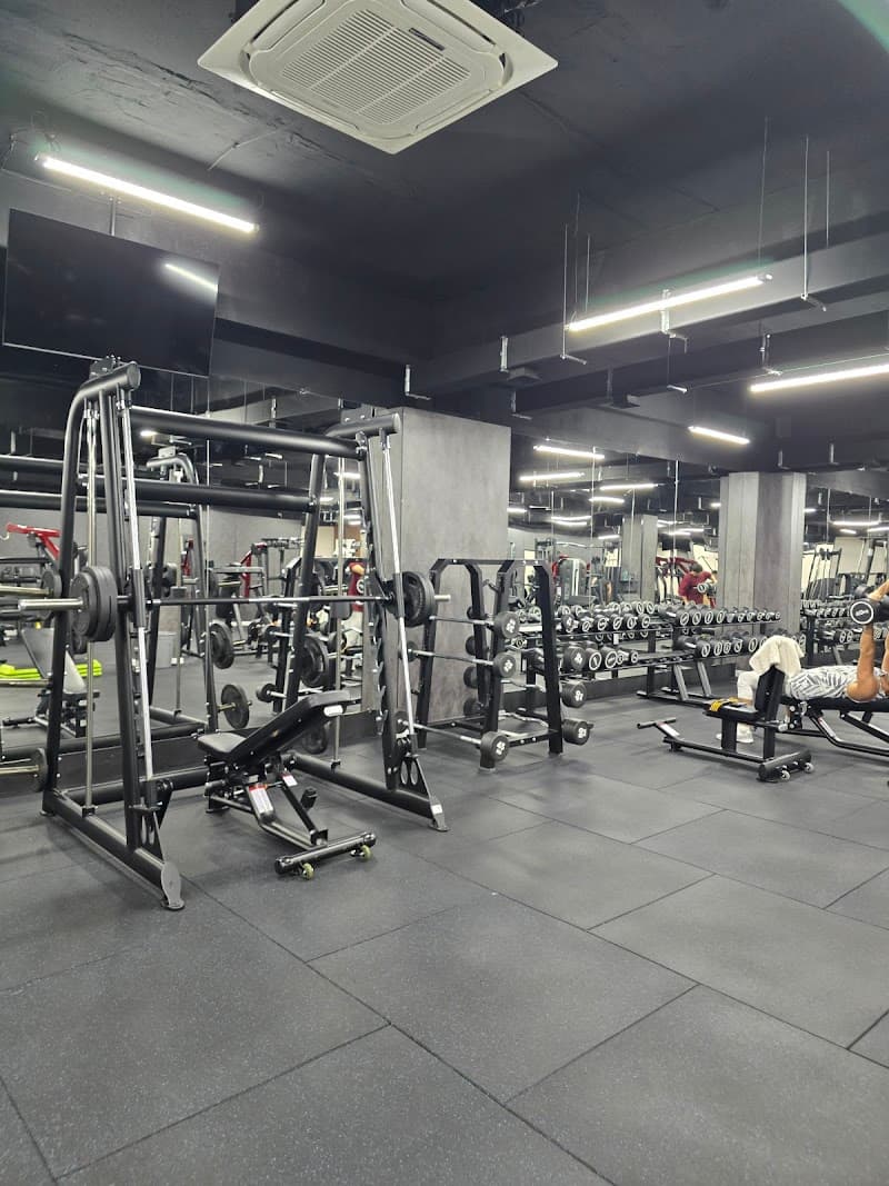 Level GYM