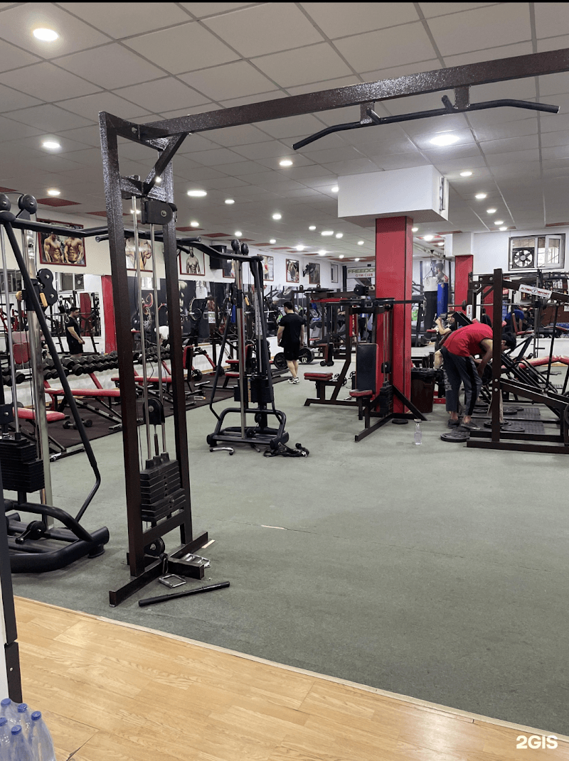 Freedom gym club